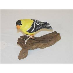  SMALL CRAVED & PAINTED BIRD-GOLDFINCH SIGNED BLA