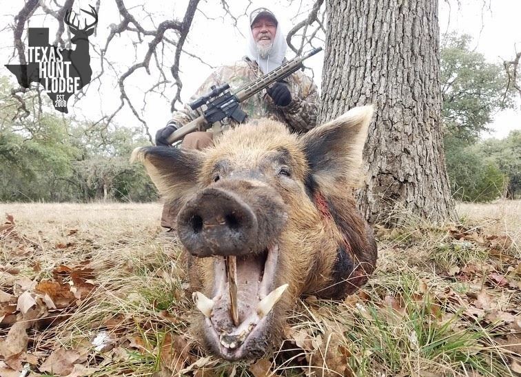 TEXAS 2 DAY WILD BOAR HUNT FOR 4 HUNTERS