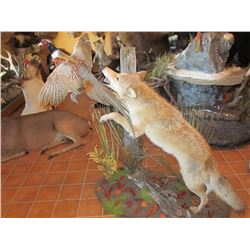 $500 GIFT CERTIFICATE FOR TAXIDERMY WORK