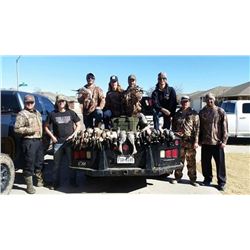 TEXAS - 3 DAY GAME BIRD HUNT OF VARIOUS SPECIES FOR 2 HUNTERS