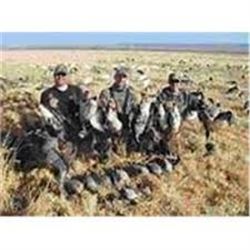 SE MICHIGAN – GUIDED GOOSE HUNT FOR FOUR HUNTERS