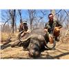Image 1 : MOZAMBIQUE - SEVEN DAY CAPE BUFFALO RIFLE HUNT FOR 1 HUNTER