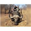 Image 2 : MOZAMBIQUE - SEVEN DAY CAPE BUFFALO RIFLE HUNT FOR 1 HUNTER