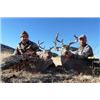 Image 2 : ARIZONA - 5 DAY COUES DEER HUNT FOR 1 HUNTER