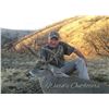 Image 3 : ARIZONA - 5 DAY COUES DEER HUNT FOR 1 HUNTER