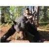Image 2 : SASKATCHEWAN – BLACK BEAR HUNT OVER BAIT FOR ONE HUNTER