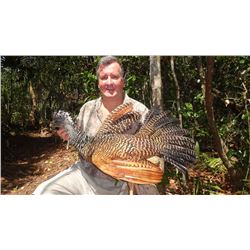 MEXICO - SEVEN DAY CAMPECHE JUNGLE HUNT FOR TWO HUNTERS