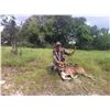Image 2 : TEXAS - 3 DAY/2 NIGHT TROPHY WHITETAIL & EXOTICS HUNT FOR 2 HUNTERS