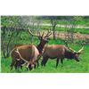 Image 3 : MICHIGAN - 2 NIGHT DELUXE SUITE ELK VIEWING RIDE & DINNER EVENT FOR 2: