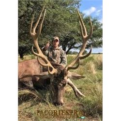 ARGENTINA - FIVE DAY BIG GAME HUNT FOR ONE HUNTER