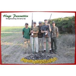 ARGENTINA - FOUR DAY DOVE HUNT FOR FOUR HUNTERS