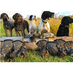 Duck, Geese and Grouse Combo Hunt for 1 Hunter - $2,000