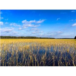 Northern Fishing Experience for 1 Angler - $1,500