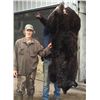 Image 2 : Minnesota Giant Black Bear Hunt - $4,990