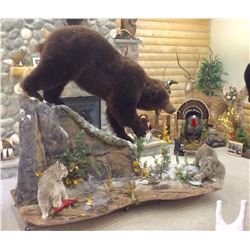 Taxidermy Gift Certificate - $2,000 / Exhibitor