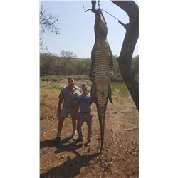 South African Crocodile for 1 Hunter - $20,000