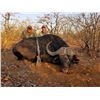 Image 1 : 7 Day Adventurous African Hunting Safari for Cape Buffalo - $13,000 / Exhibitor