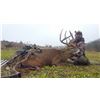Image 2 : Missouri Trophy Whitetail Hunt - $4,450 / Exhibitor