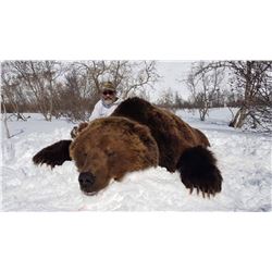 Kamchatka Brown Bear - $13,900 / Exhibitor