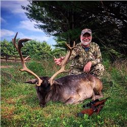 Trophy Fallow Deer Hunt for 1 Hunter and 1 Non-hunter - $4,250 / Exhibitor
