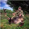 Image 1 : Trophy Fallow Deer Hunt for 1 Hunter and 1 Non-hunter - $4,250 / Exhibitor