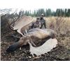 Image 2 : Fly-in Float Trip for Alaska Moose for 2 Hunters - $10,400