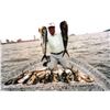 Image 1 : Zihuatanejo Deep Sea Fishing for 1+ - $4,350