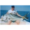 Image 3 : Zihuatanejo Deep Sea Fishing for 1+ - $4,350