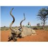 Image 2 : South Africa Spiral Horn Hunt for 2 Hunters - $24,300 / Exhibitor