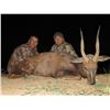 Image 5 : South Africa Spiral Horn Hunt for 2 Hunters - $24,300 / Exhibitor