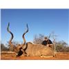 Image 7 : South Africa Spiral Horn Hunt for 2 Hunters - $24,300 / Exhibitor