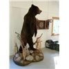 Image 1 : Life-size Alaskan Brown Bear with Habitat - $5,000 / Exhibitor