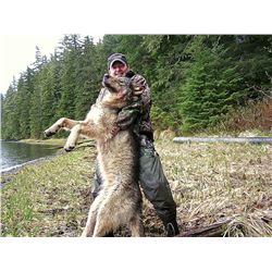 Kuiu Island Black Bear/Wolf Hunt for 1 Hunter - $7,500