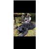 Image 2 : Kuiu Island Black Bear/Wolf Hunt for 1 Hunter - $7,500