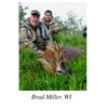 Image 4 : Scotland Spring Roe Buck Hunt on Prestigious and Exclusive Estates for Two Bucks with Airfare - Over
