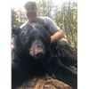 Image 9 : Minnesota Giant Black Bear Hunt - $4,990