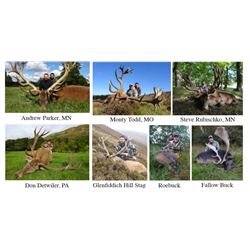 Scottish Red Stag with Airfare - Over $8,000 / Exhibitor