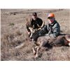 Image 4 : Nebraska Mule Deer or Whitetail Black Powder or Archery Hunt - $4,195 / Exhibitor