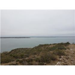 Management Whitetail for 4 Hunters - $16,000