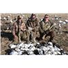 Image 1 : Spring Snow Goose Hunt for 2 Hunters - $1,200