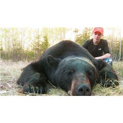 Saskatchewan Black Bear and Waterfowl Hunt - $6,500