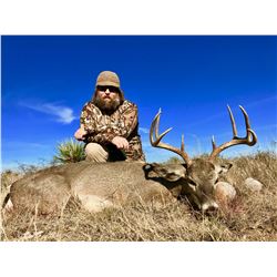 Mexico Carmen Mountain Deer - $5,500