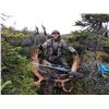Image 2 : Newfoundland Moose & Black Bear Hunt for 1 - $9,500