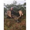 Image 3 : Newfoundland Moose & Black Bear Hunt for 1 - $9,500