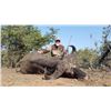 Image 2 : South Africa Cape Buffalo and Sable Antelope for 2 Hunters and 2 Observers - $34,800 / Exhibitor
