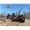 Image 4 : South Africa Cape Buffalo and Sable Antelope for 2 Hunters and 2 Observers - $34,800 / Exhibitor