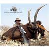 Image 3 : South Africa Golden Wildebeest, Blue Wildebeest, Zebra and Impala for 2 Hunters and 2 Non-Hunters -