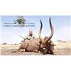Image 4 : South Africa Golden Wildebeest, Blue Wildebeest, Zebra and Impala for 2 Hunters and 2 Non-Hunters -