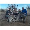 Image 6 : South Africa Golden Wildebeest, Blue Wildebeest, Zebra and Impala for 2 Hunters and 2 Non-Hunters -