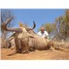 Image 7 : South Africa Golden Wildebeest, Blue Wildebeest, Zebra and Impala for 2 Hunters and 2 Non-Hunters -